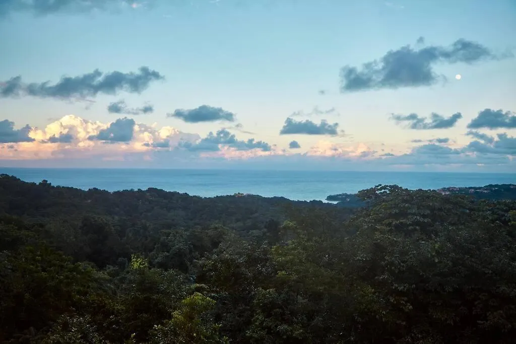 Rose Villa Jamaica Cherryfield Holiday home